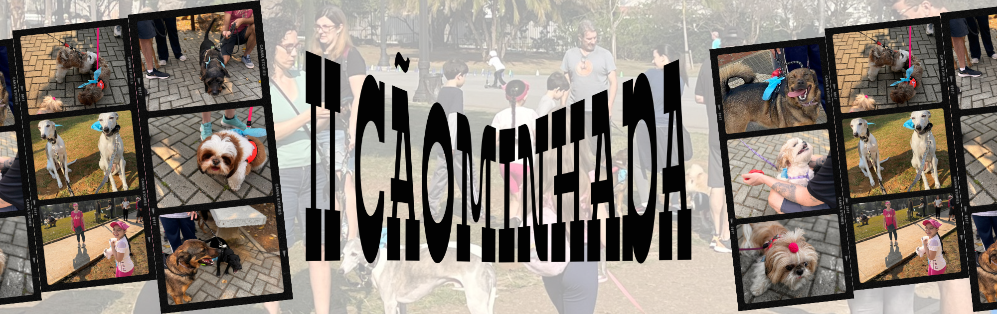 II Cãominhada do Colégio Dom Pedro: Venha passear com seu melhor amigo!