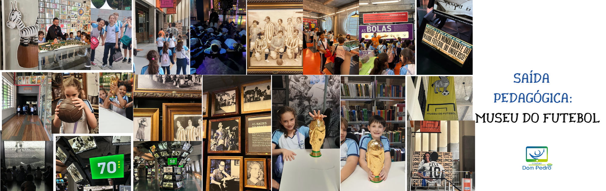 Saídas pedagógicas com propósito: aprendizagem que ganha vida fora da sala de aula