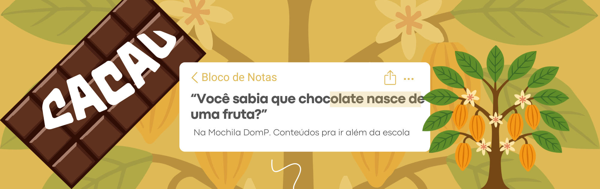 O cacau: a fruta que dá origem ao chocolate | atividade sensorial com alunos